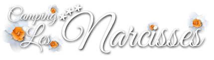 Logo ᐃ LES NARCISSES ***